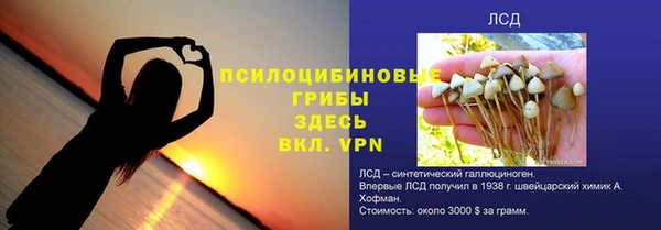 гидра Абаза