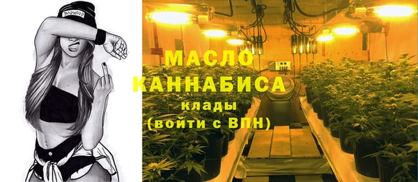 гидра Абаза